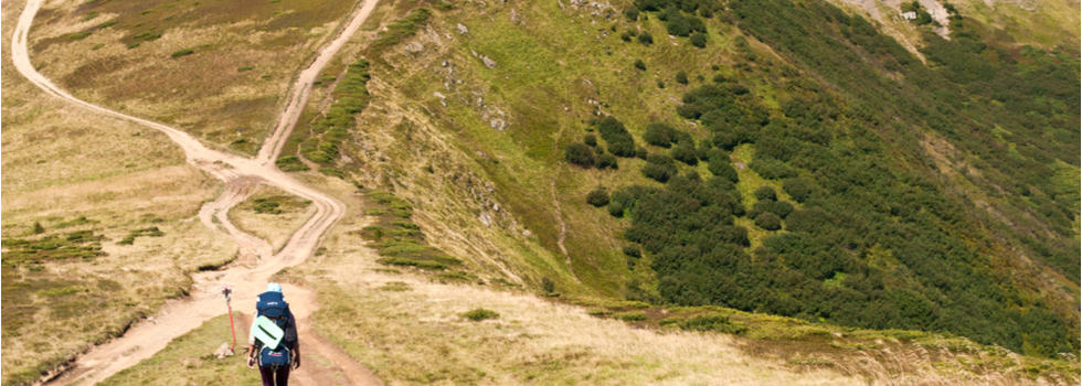 Hiker approaching a fork in a path