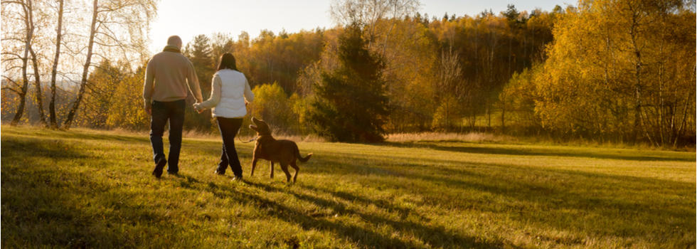 A couple walking a dog in the countryside.