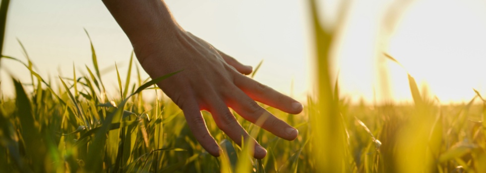 Someone touching grass.