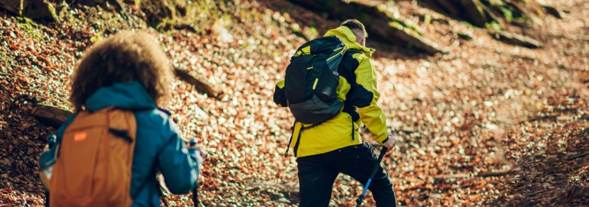 A couple hiking through a forest in autumn.