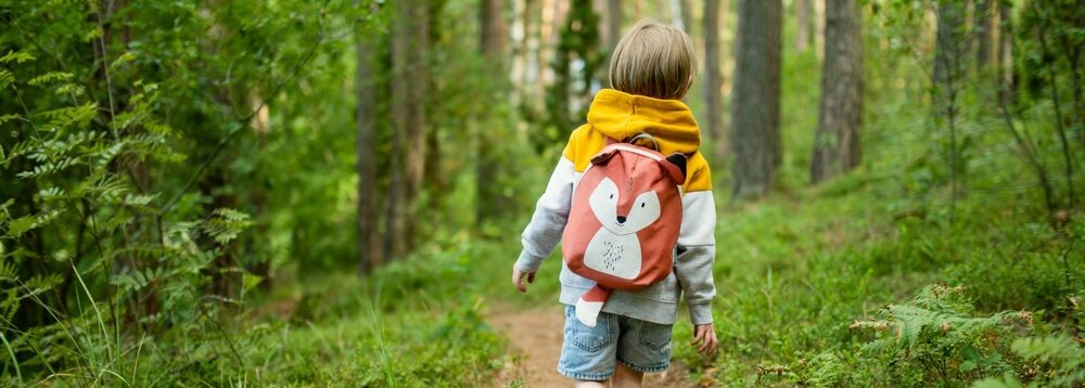 A child following a path through a wood.