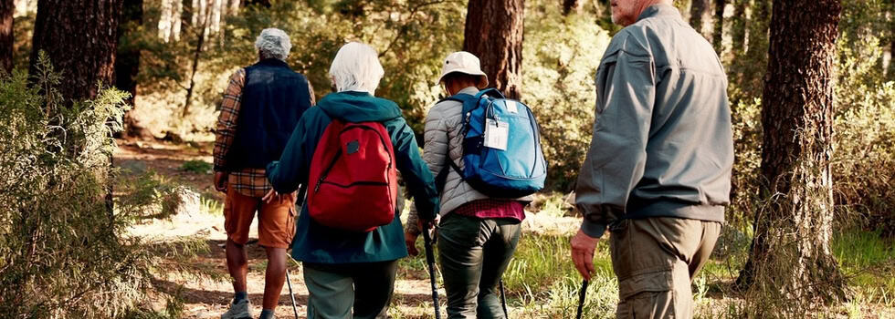 Group of older adults hiking in the forest