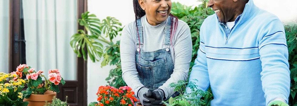 A couple potting plants together.
